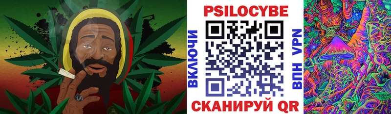 купить закладку  Семилуки  Галлюциногенные грибы GOLDEN TEACHER 