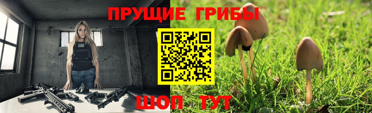 Галлюциногенные грибы мицелий Семилуки